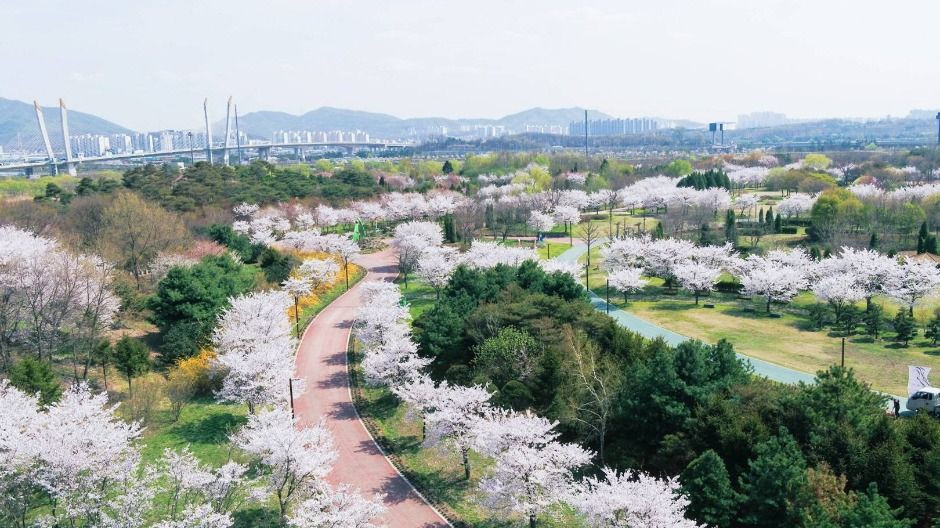 수도권매립지 드림파크 야생화단지 여행 추천 - 로드트립