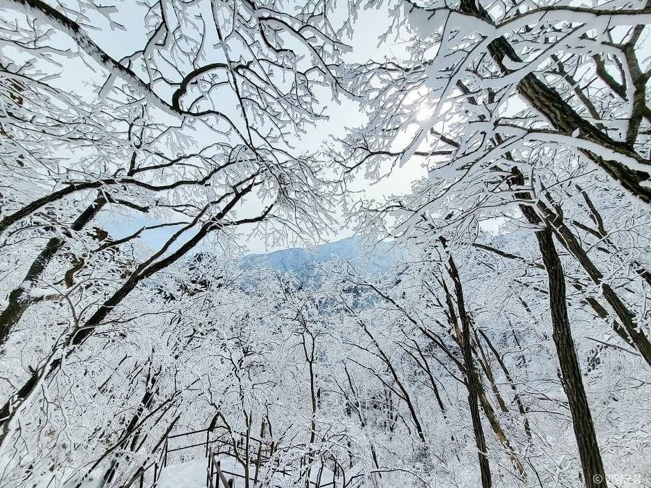 설악산 흘림골 여행 추천 - 로드트립