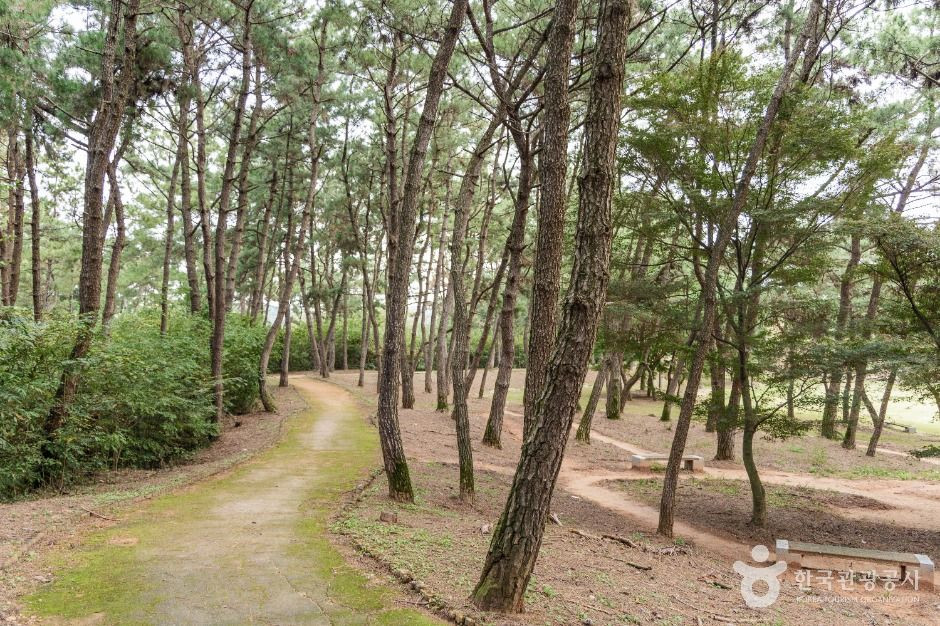 익산 쌍릉 여행 추천 - 로드트립