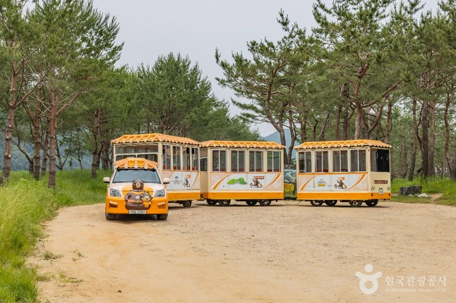 고마열차 여행 추천 - 로드트립