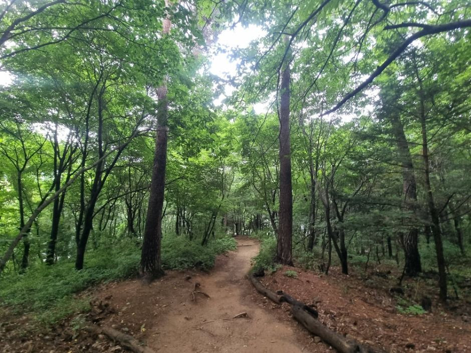 [서울둘레길 17코스] 북한산 은평코스 여행 추천 - 로드트립