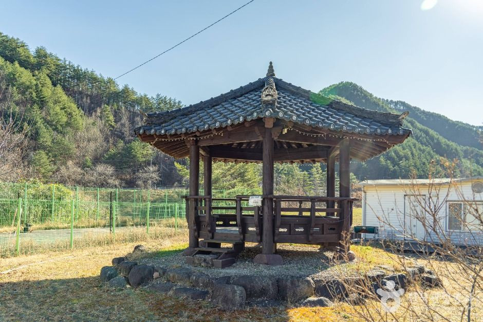 삼척 가시오가피마을 여행 추천 - 로드트립