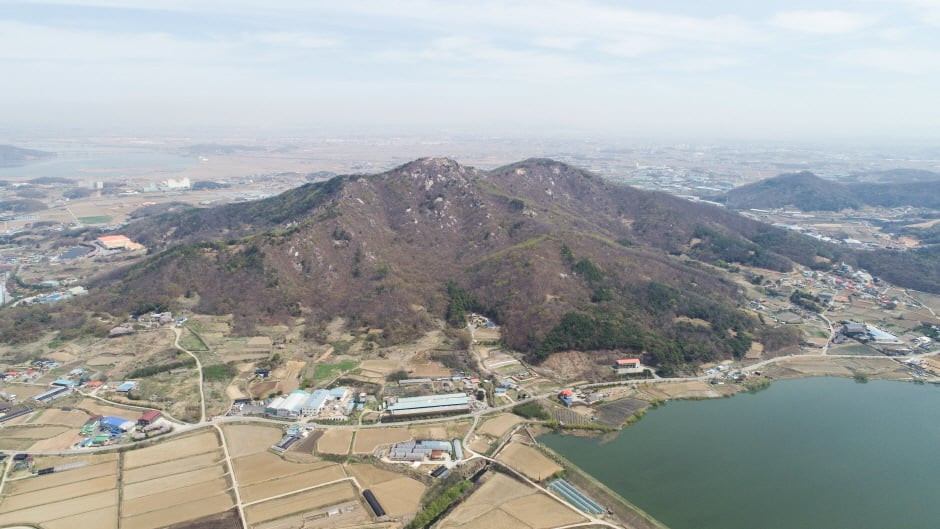 고용산(고룡산) 여행 추천 - 로드트립