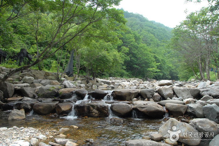 만산동계곡 여행 추천 - 로드트립