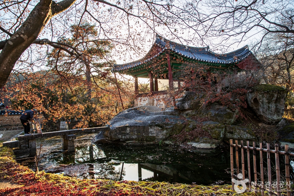 봉화 청암정 여행 추천 - 로드트립