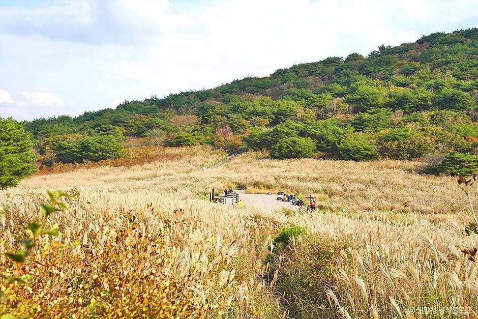 재약산 여행 추천 - 로드트립