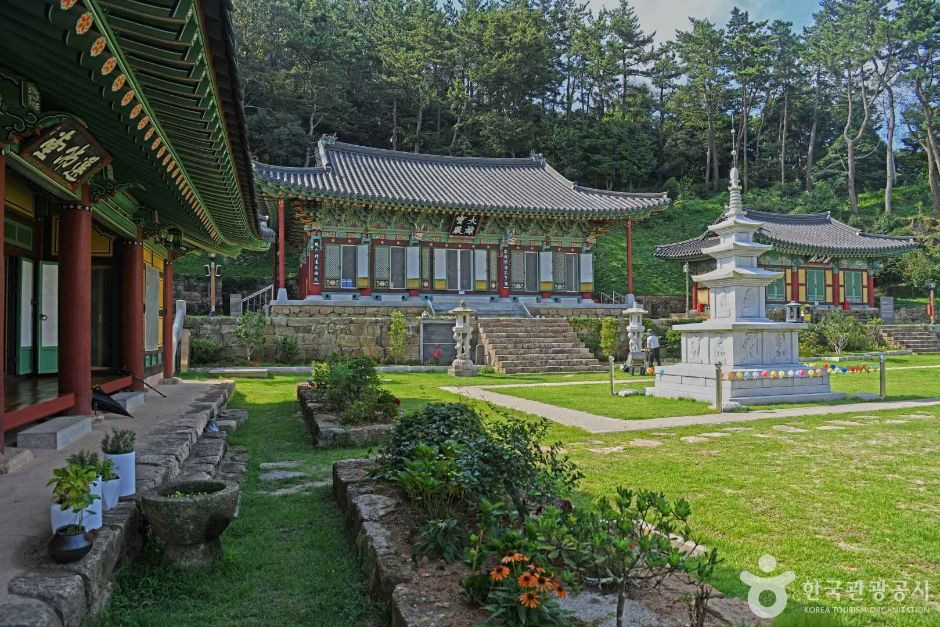 신흥사(완도) 여행 추천 - 로드트립