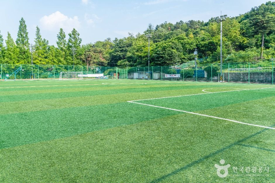 성주산생활체육공원 여행 추천 - 로드트립