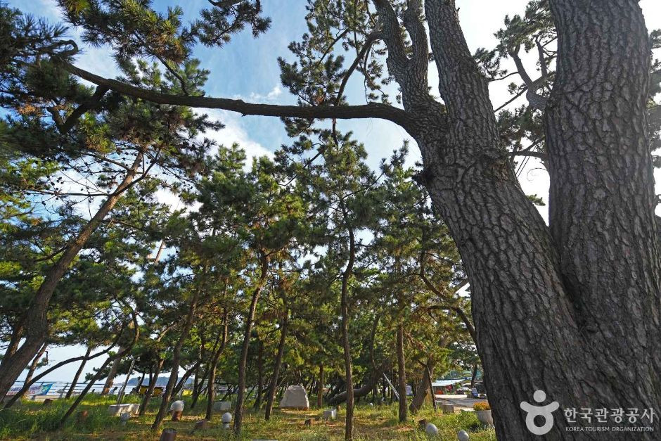 해리마을 여행 추천 - 로드트립
