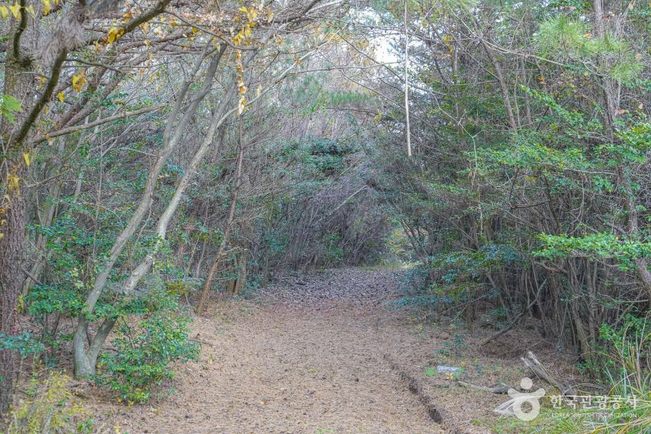 미악산 여행 추천 - 로드트립