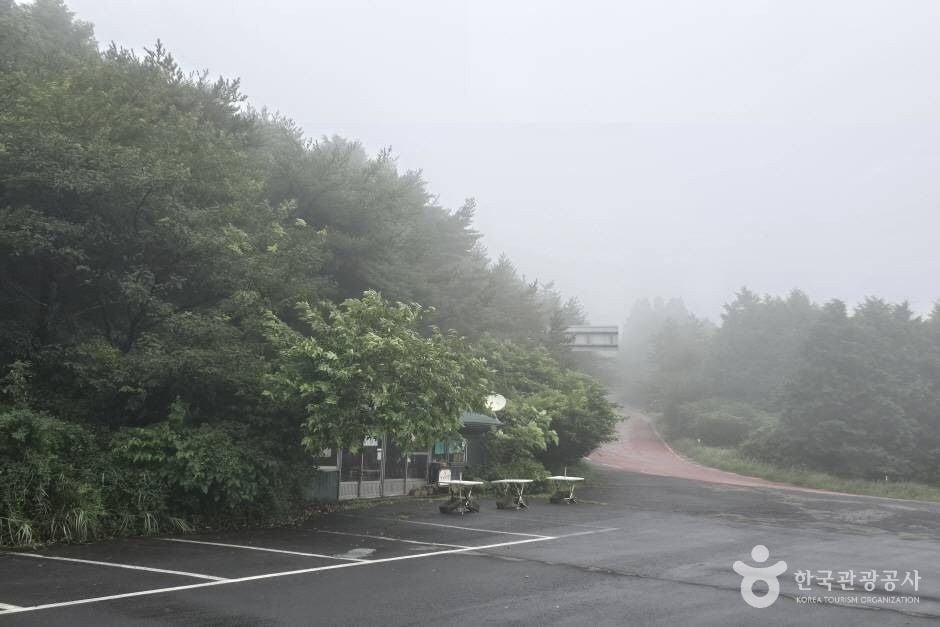 거린사슴 여행 추천 - 로드트립