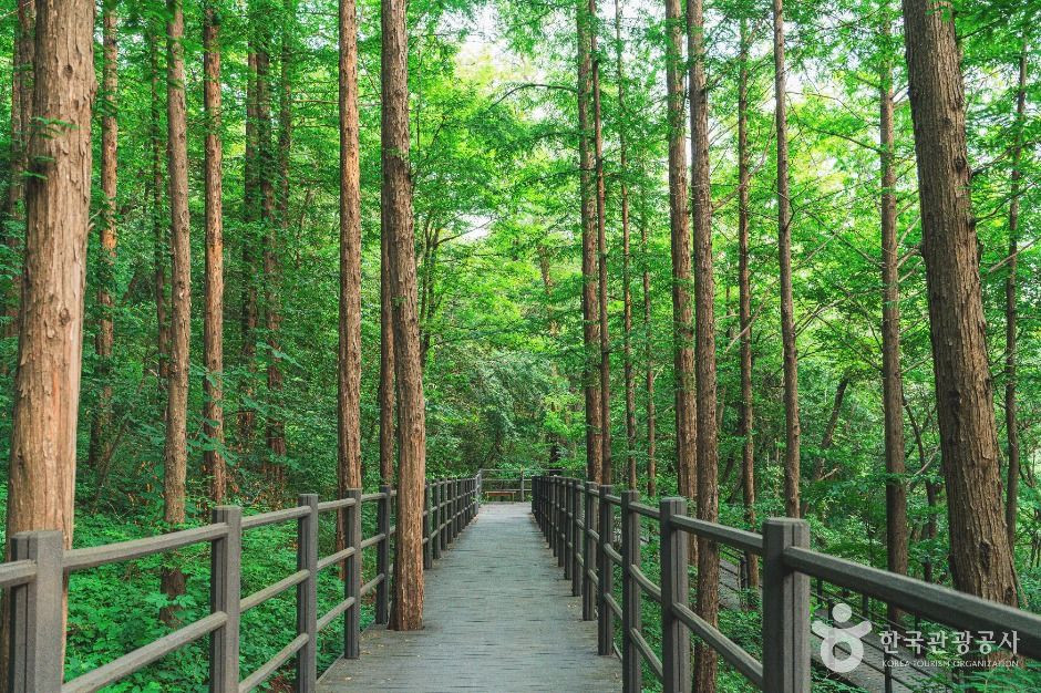 서대문 안산(안산자락길) 여행 추천 - 로드트립