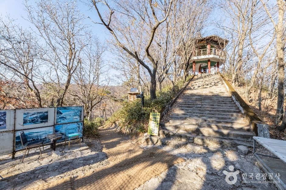 내장산 굴거리나무군락 여행 추천 - 로드트립