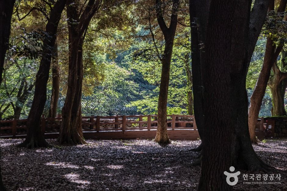 제주 삼성혈 여행 추천 - 로드트립