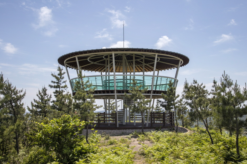 채일봉 전망대 여행 추천 - 로드트립