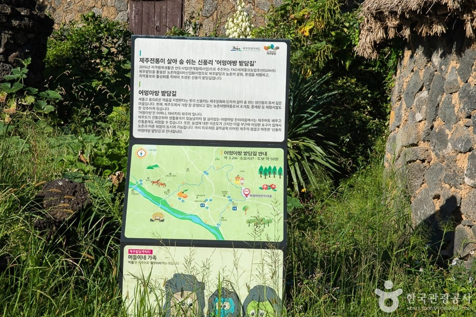 신풍리 밭담길 여행 추천 - 로드트립