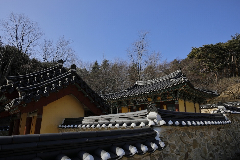 추양사 여행 추천 - 로드트립