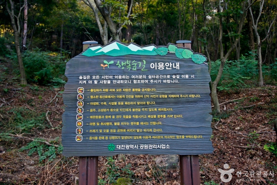 보문산 행복 숲 둘레길 여행 추천 - 로드트립