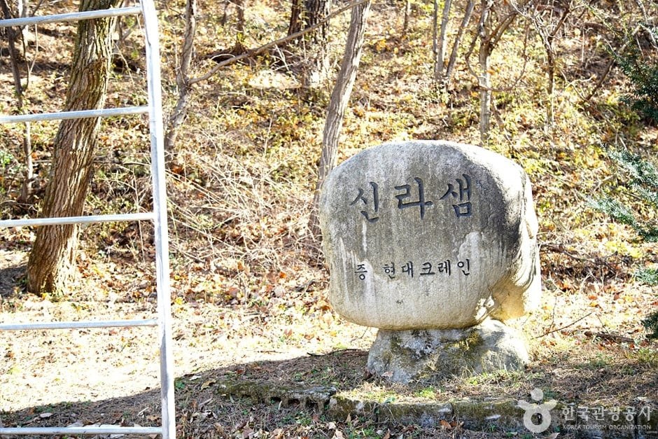 청대산 여행 추천 - 로드트립