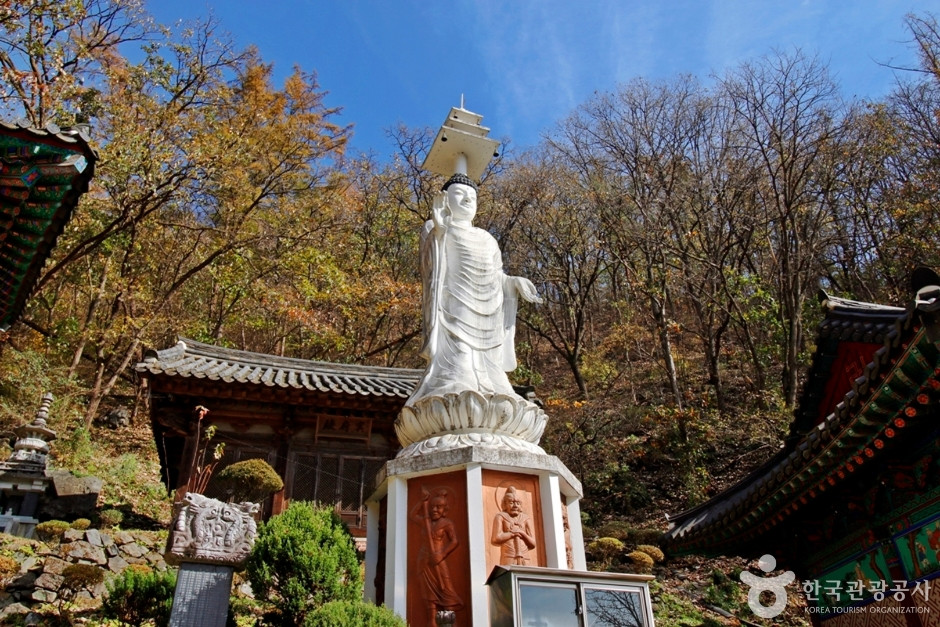 정심사(충주) 여행 추천 - 로드트립