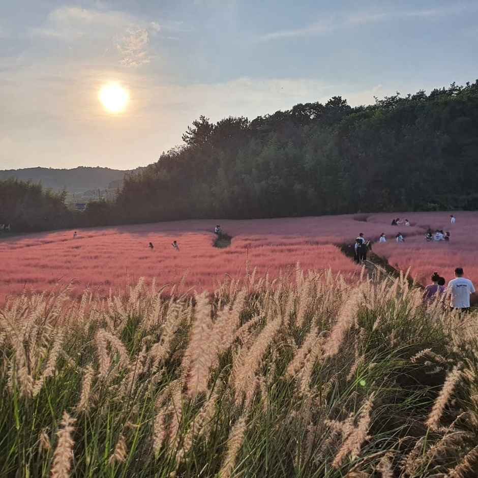 고창 청농원 여행 추천 - 로드트립