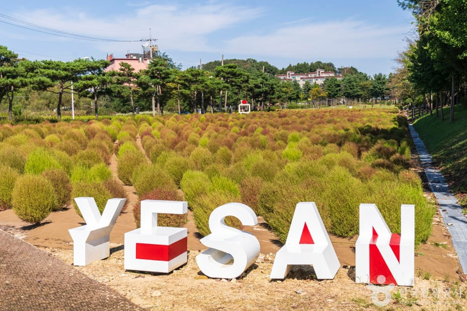 덕산온천지구 여행 추천 - 로드트립