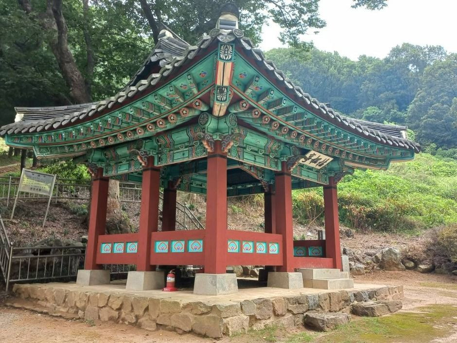 고송정지 여행 추천 - 로드트립