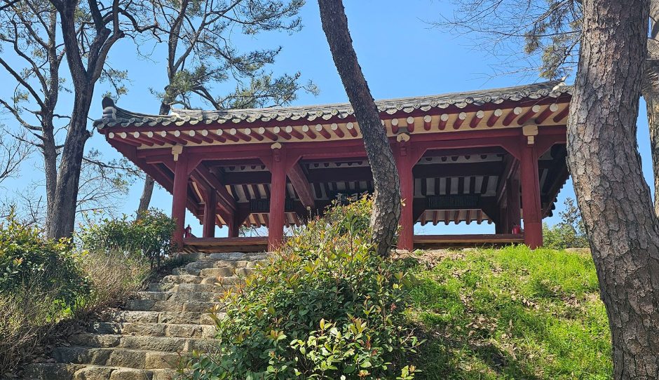 양과동정 여행 추천 - 로드트립
