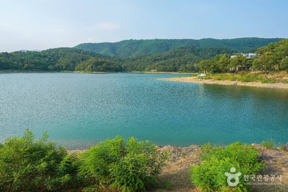 봉무공원 여행 추천 - 로드트립