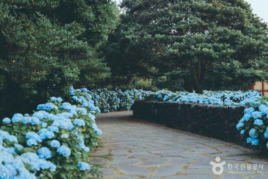 혼인지 여행 추천 - 로드트립