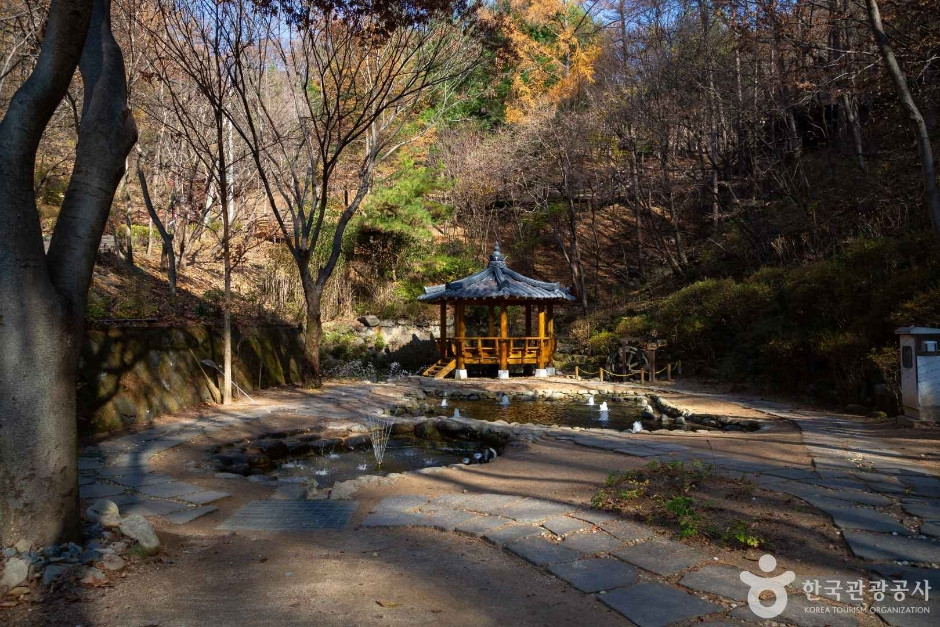 만인산 자연휴양림 여행 추천 - 로드트립