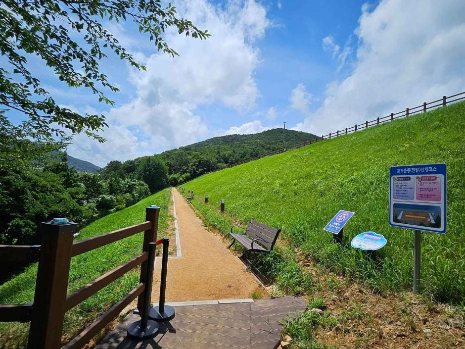 미평 봉화산 산림욕장 여행 추천 - 로드트립