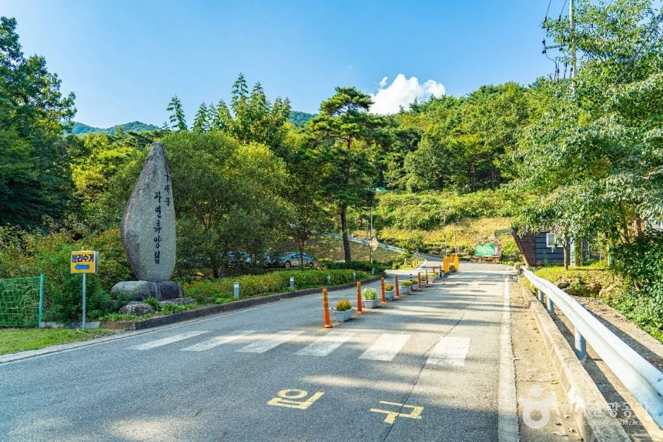 구재봉자연휴양림 여행 추천 - 로드트립