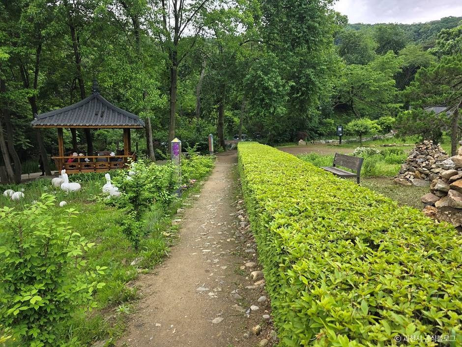 과천야생화자연학습장 여행 추천 - 로드트립