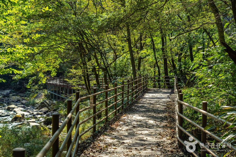 덕산계곡(덕산용소) 여행 추천 - 로드트립