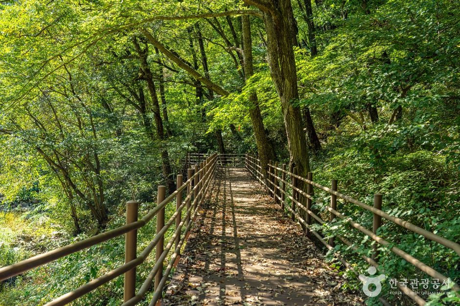 덕산계곡(덕산용소) 여행 추천 - 로드트립