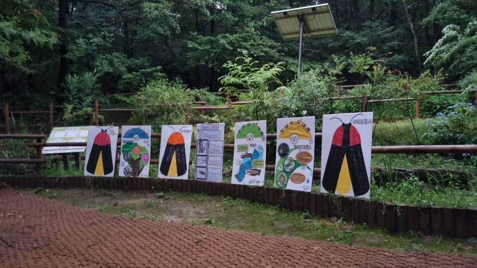 맹산반딧불이자연학교 여행 추천 - 로드트립