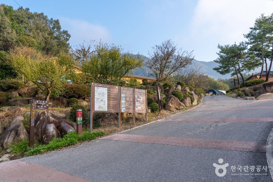제천 산야초마을 여행 추천 - 로드트립