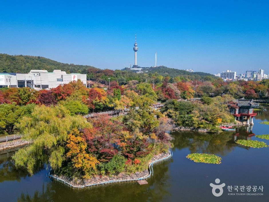 이월드 83타워 여행 추천 - 로드트립