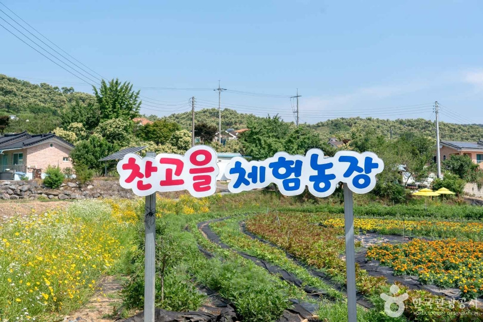 꽃이 머무는 자리 여행 추천 - 로드트립
