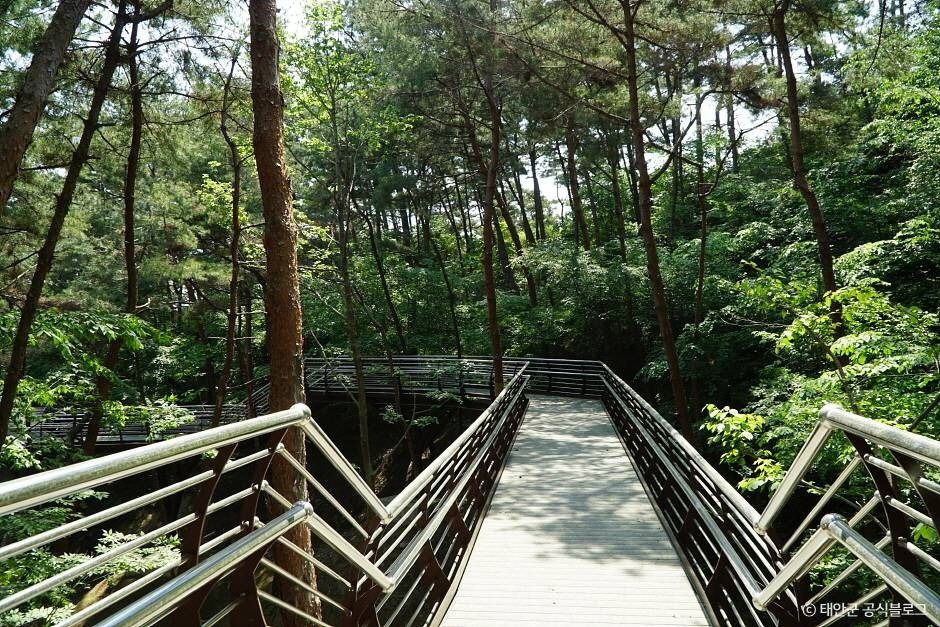 백화산(태안) 여행 추천 - 로드트립