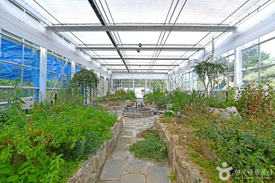 고로쇠마을(미산마을) 여행 추천 - 로드트립