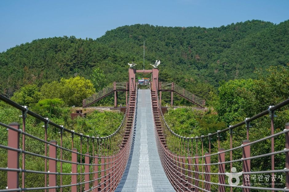 우포출렁다리 여행 추천 - 로드트립