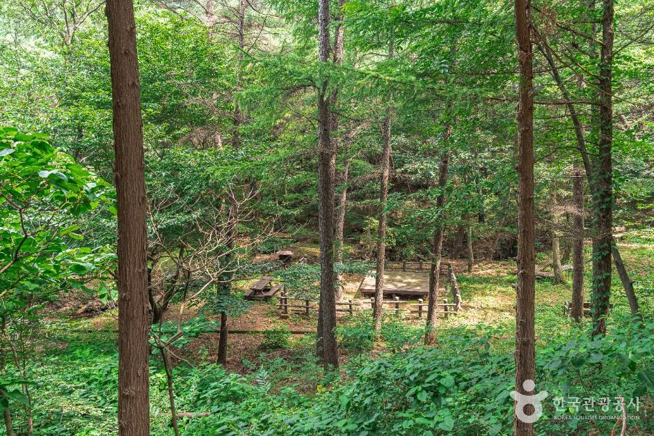문수산산림욕장 여행 추천 - 로드트립