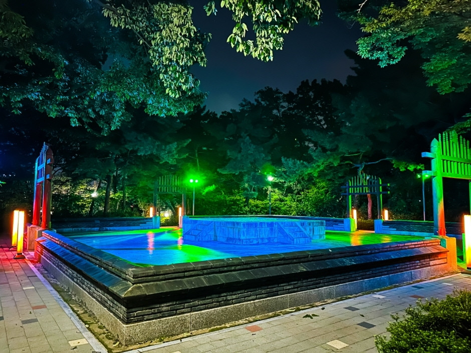 사직 빛의 숲 여행 추천 - 로드트립