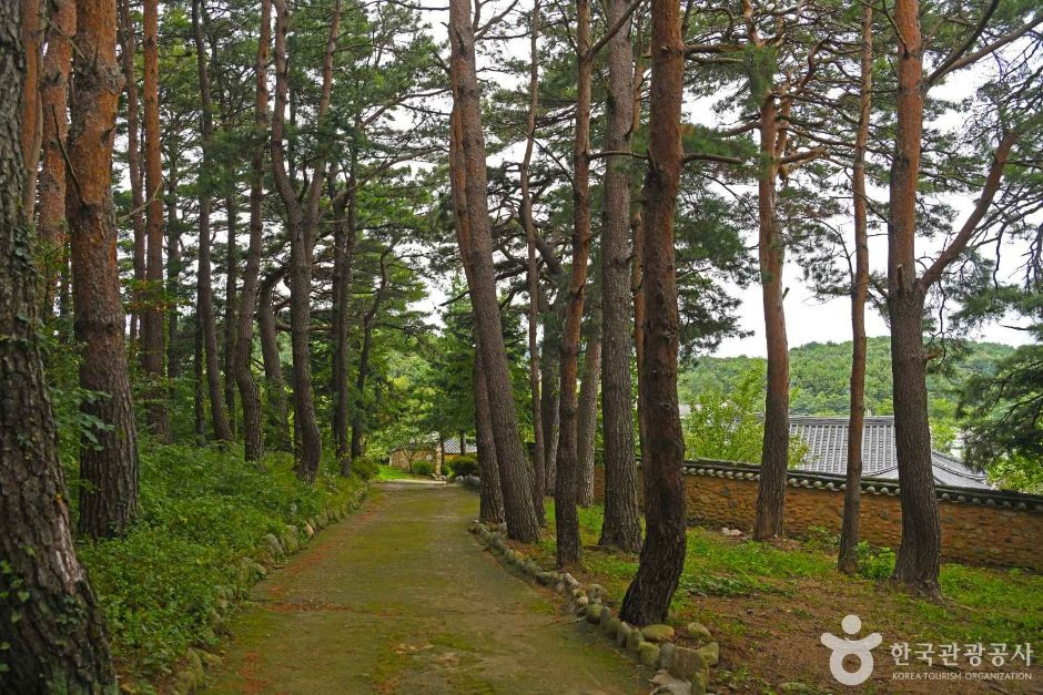고성 어명기 고택 여행 추천 - 로드트립
