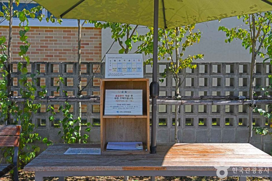 춘천시 반려견놀이터 같이놀개 여행 추천 - 로드트립