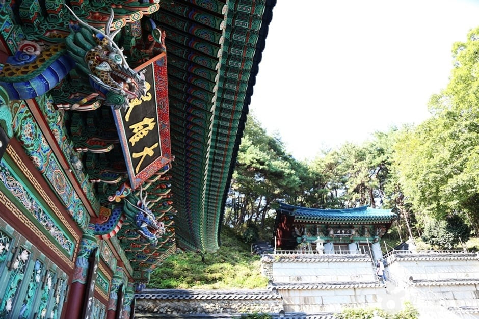 마하사(부산) 여행 추천 - 로드트립