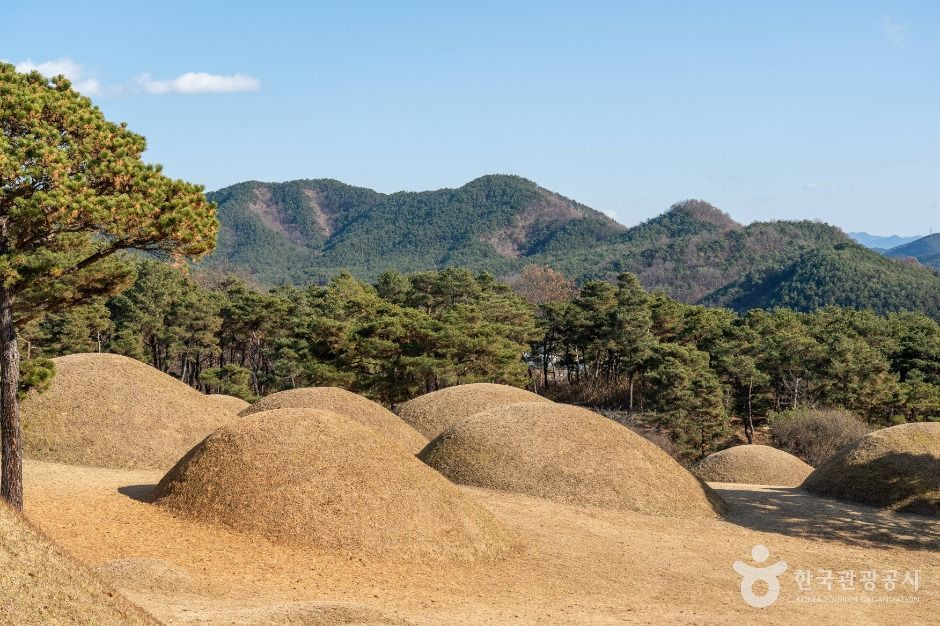 합천 옥전 고분군 여행 추천 - 로드트립