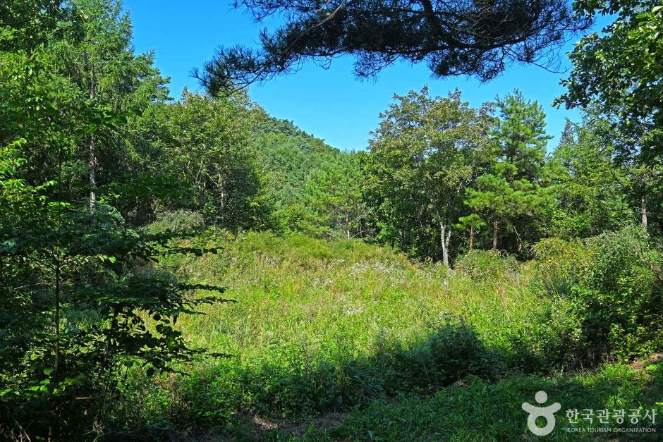 고마루 카르스트 여행 추천 - 로드트립